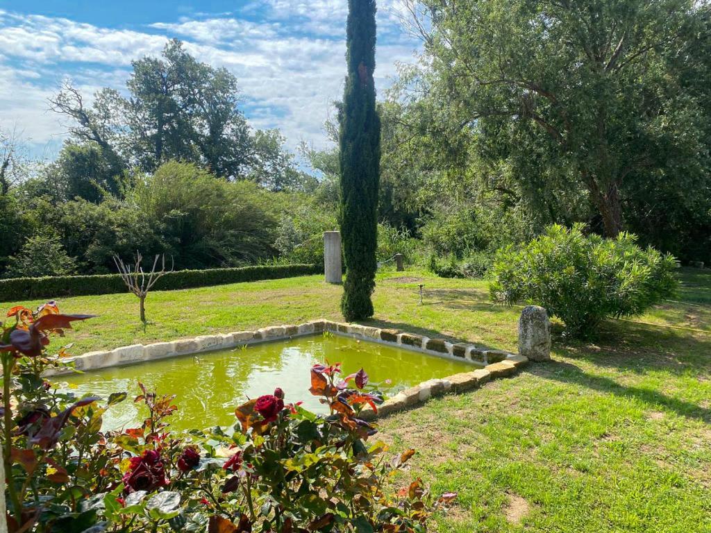 Villa Mas Des Eaux Claires Arles Camargue